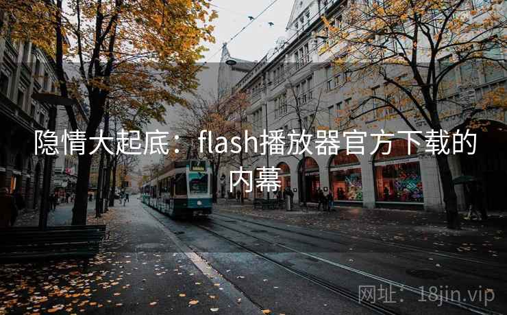 隐情大起底:flash播放器官方下载的内幕 隐情大起底:flash播放器官方下载的内幕